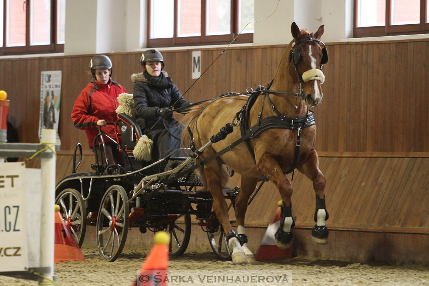 Zimní Jezdecký pohár spřežení 2016 - Brno