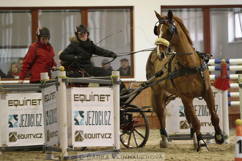 Zimní Jezdecký pohár spřežení 2016 - Brno