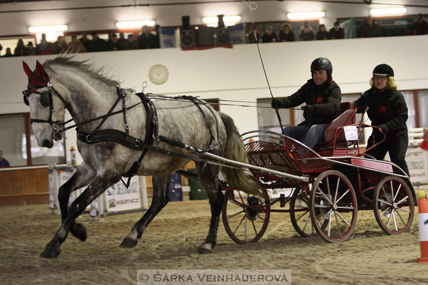 Zimní Jezdecký pohár spřežení 2016 - Brno