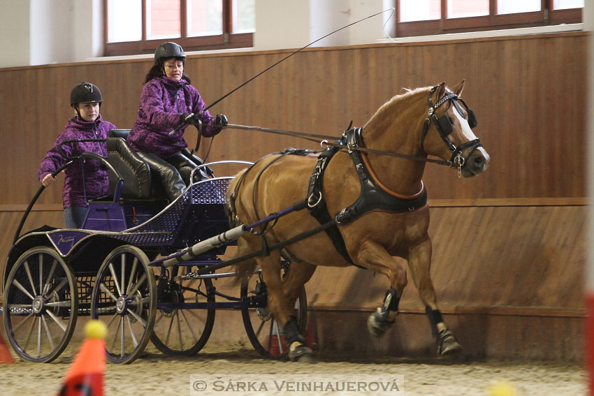 Zimní Jezdecký pohár spřežení 2016 - Brno