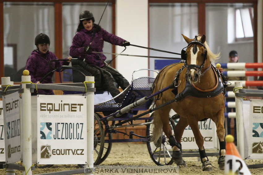 Zimní Jezdecký pohár spřežení 2016 - Brno