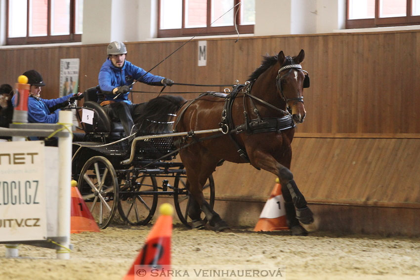 Zimní Jezdecký pohár spřežení 2016 - Brno