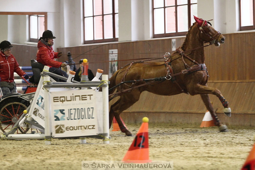 Zimní Jezdecký pohár spřežení 2016 - Brno