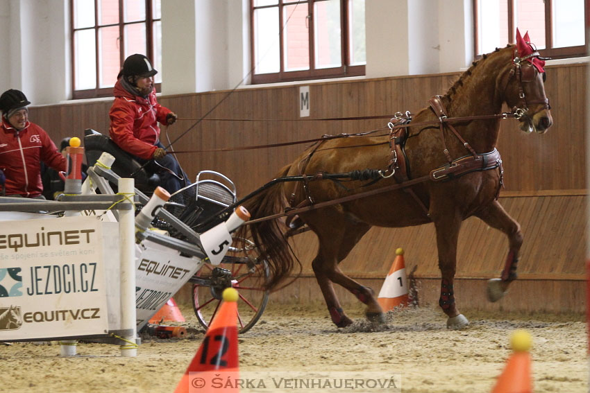 Zimní Jezdecký pohár spřežení 2016 - Brno