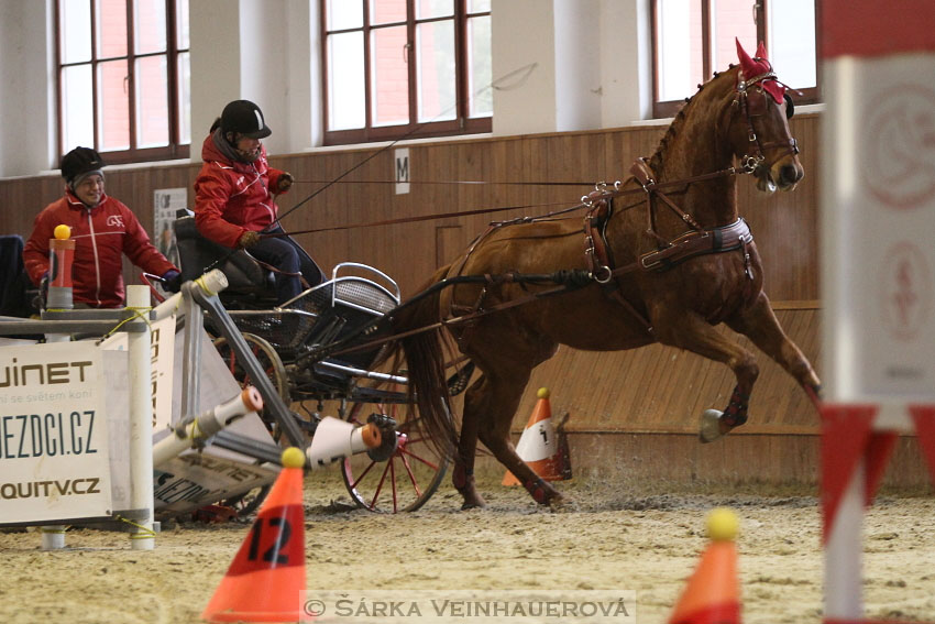 Zimní Jezdecký pohár spřežení 2016 - Brno