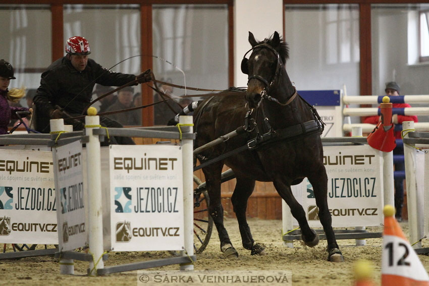 Zimní Jezdecký pohár spřežení 2016 - Brno