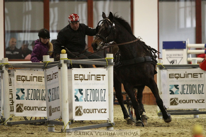 Zimní Jezdecký pohár spřežení 2016 - Brno