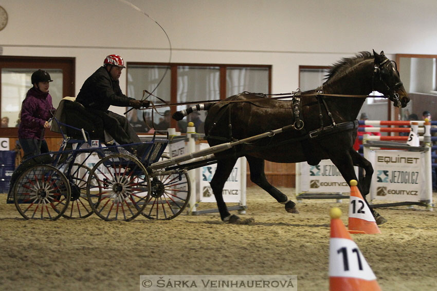 Zimní Jezdecký pohár spřežení 2016 - Brno