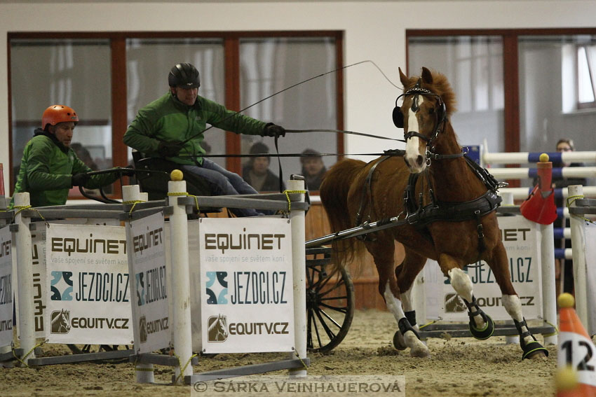 Zimní Jezdecký pohár spřežení 2016 - Brno