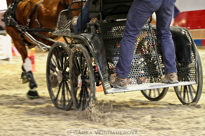 Zimní Jezdecký pohár spřežení 2016 - Brno