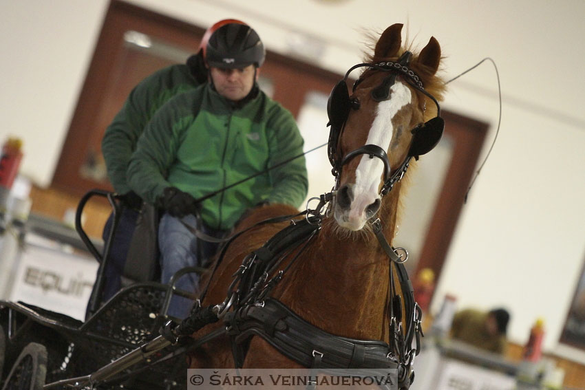 Zimní Jezdecký pohár spřežení 2016 - Brno