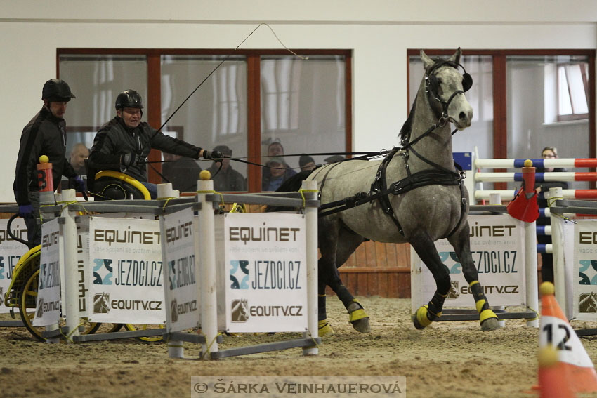 Zimní Jezdecký pohár spřežení 2016 - Brno