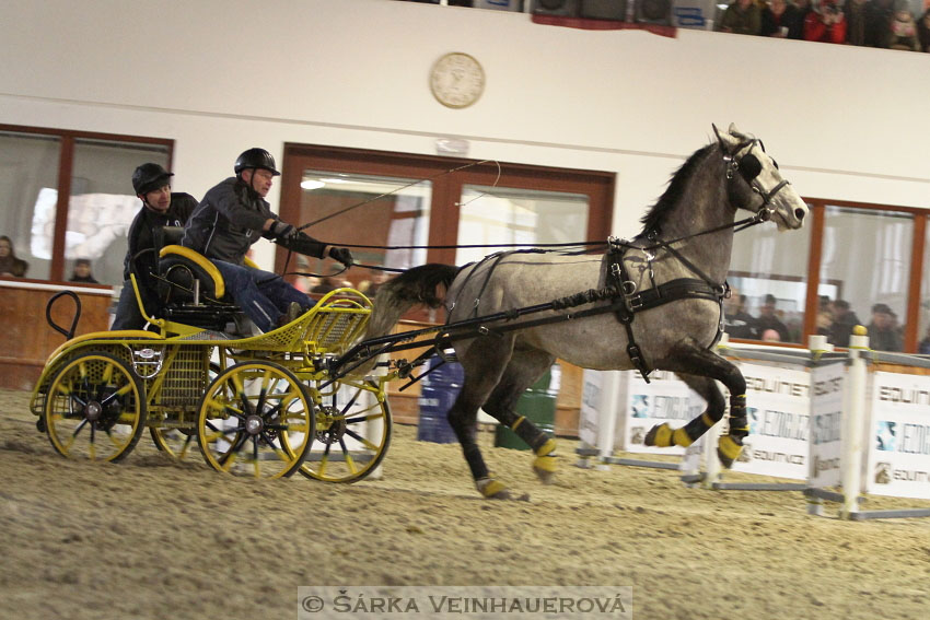 Zimní Jezdecký pohár spřežení 2016 - Brno