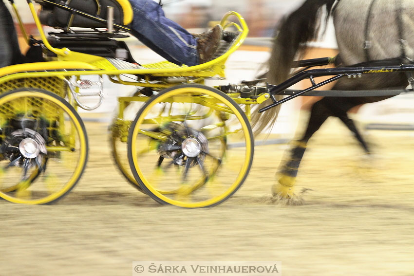 Zimní Jezdecký pohár spřežení 2016 - Brno