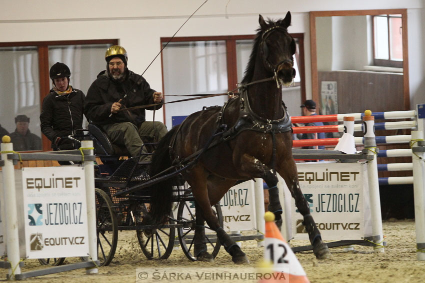 Zimní Jezdecký pohár spřežení 2016 - Brno