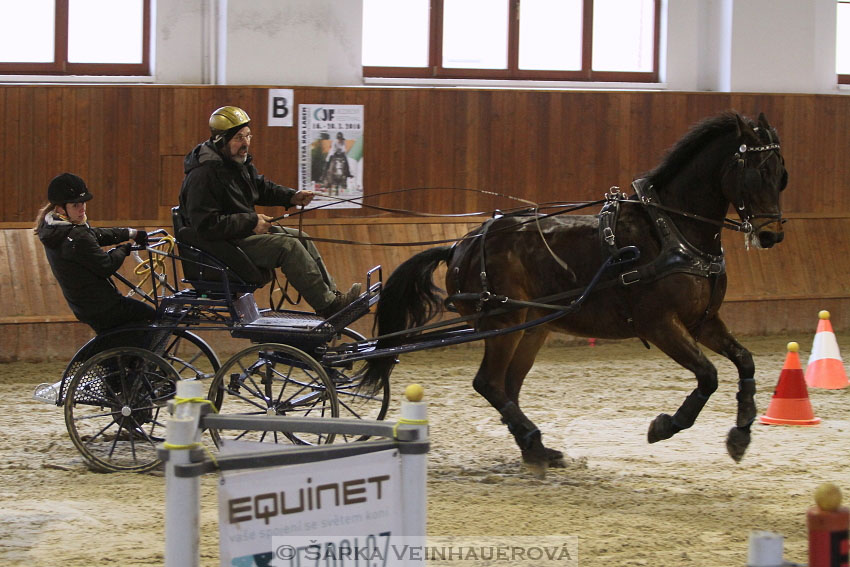 Zimní Jezdecký pohár spřežení 2016 - Brno