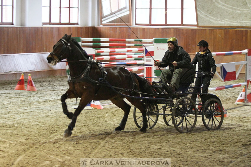 Zimní Jezdecký pohár spřežení 2016 - Brno