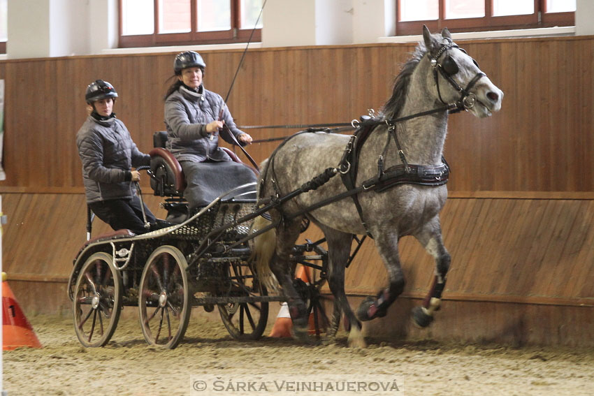 Zimní Jezdecký pohár spřežení 2016 - Brno