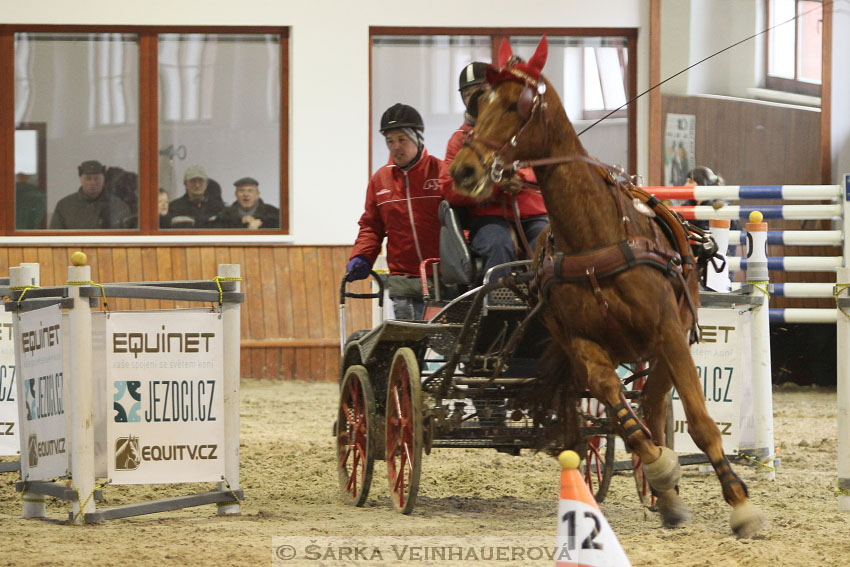 Zimní Jezdecký pohár spřežení 2016 - Brno