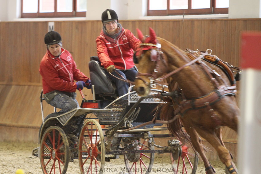 Zimní Jezdecký pohár spřežení 2016 - Brno