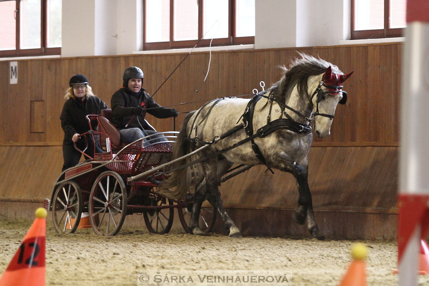 Zimní Jezdecký pohár spřežení 2016 - Brno