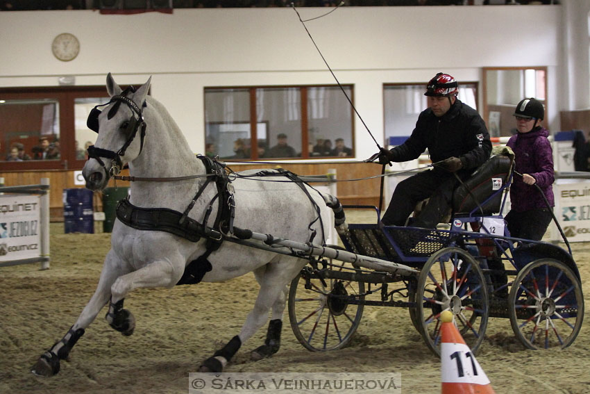 Zimní Jezdecký pohár spřežení 2016 - Brno