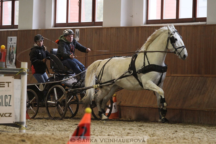 Zimní Jezdecký pohár spřežení 2016 - Brno