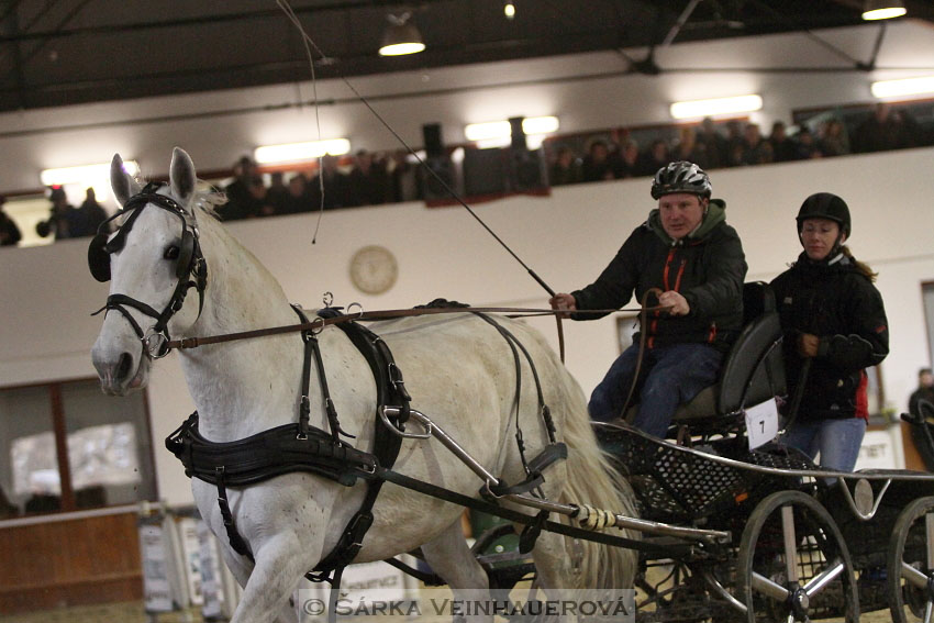 Zimní Jezdecký pohár spřežení 2016 - Brno