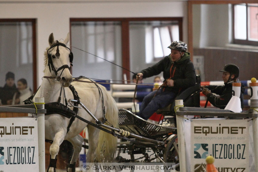 Zimní Jezdecký pohár spřežení 2016 - Brno