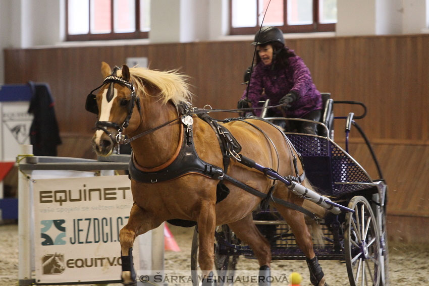 Zimní Jezdecký pohár spřežení 2016 - Brno