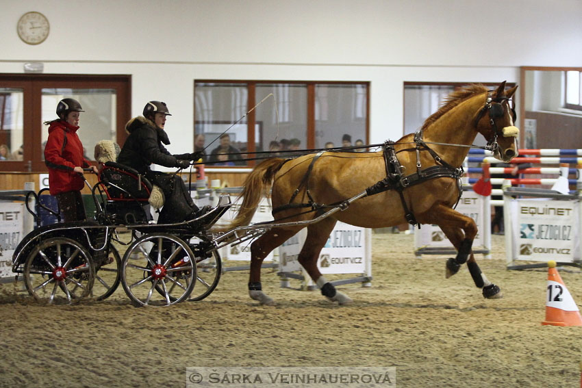 Zimní Jezdecký pohár spřežení 2016 - Brno