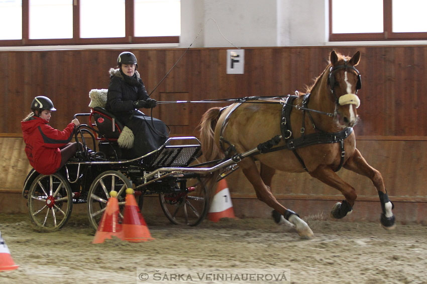 Zimní Jezdecký pohár spřežení 2016 - Brno