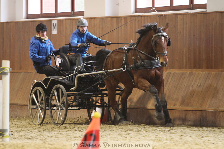 Zimní Jezdecký pohár spřežení 2016 - Brno