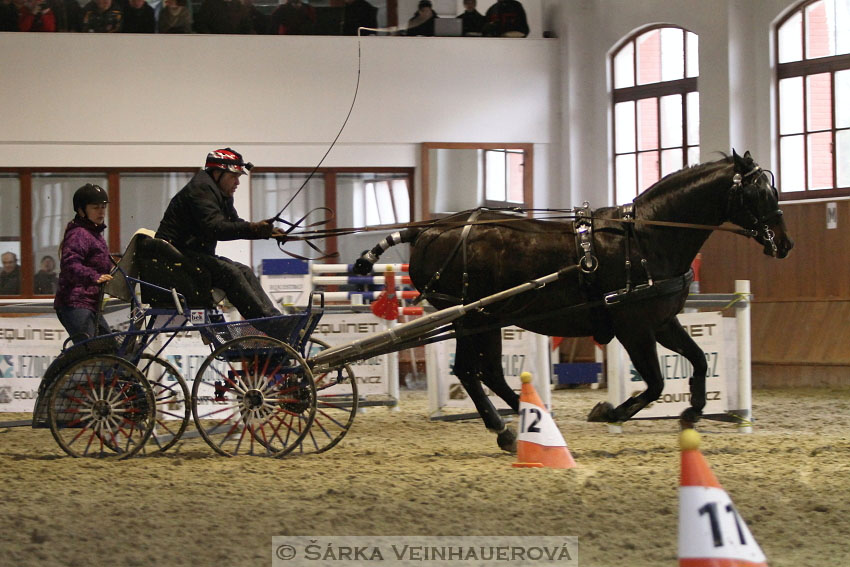 Zimní Jezdecký pohár spřežení 2016 - Brno