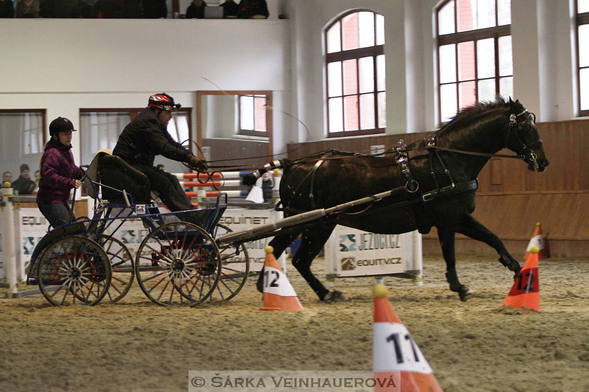 Zimní Jezdecký pohár spřežení 2016 - Brno