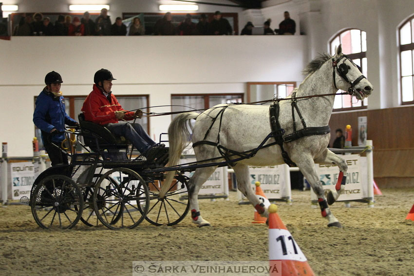 Zimní Jezdecký pohár spřežení 2016 - Brno