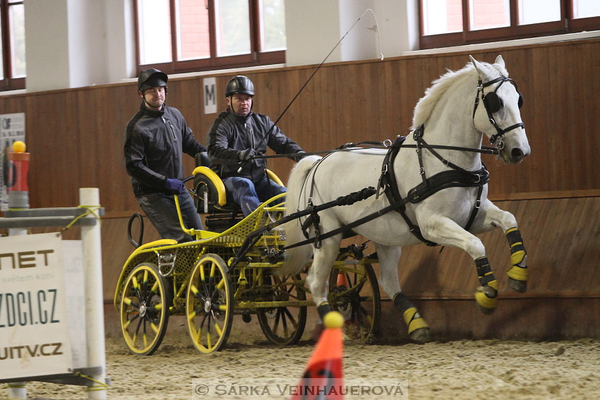 Zimní Jezdecký pohár spřežení 2016 - Brno