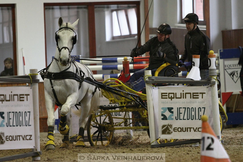 Zimní Jezdecký pohár spřežení 2016 - Brno