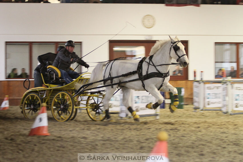 Zimní Jezdecký pohár spřežení 2016 - Brno