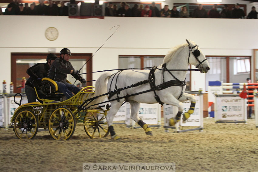 Zimní Jezdecký pohár spřežení 2016 - Brno