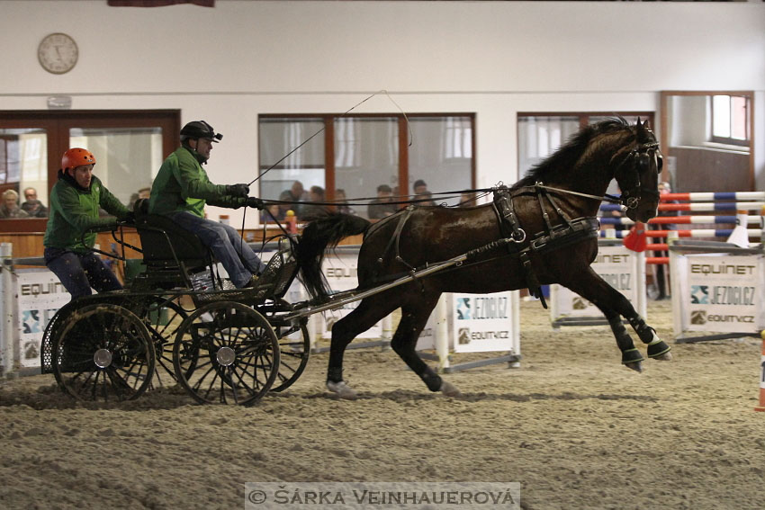 Zimní Jezdecký pohár spřežení 2016 - Brno