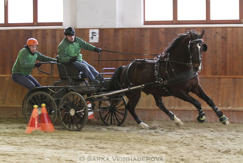 Zimní Jezdecký pohár spřežení 2016 - Brno