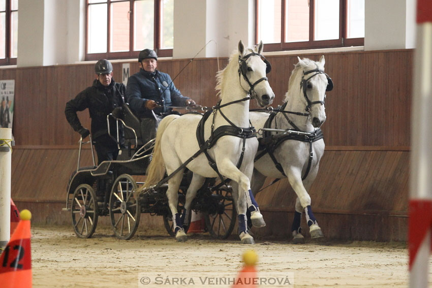 Zimní Jezdecký pohár spřežení 2016 - Brno