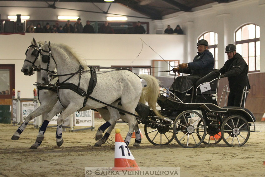 Zimní Jezdecký pohár spřežení 2016 - Brno