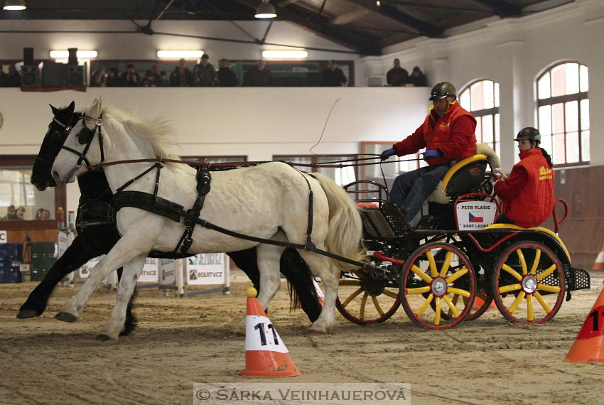 Zimní Jezdecký pohár spřežení 2016 - Brno