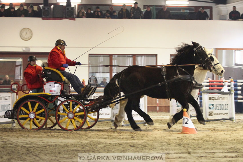 Zimní Jezdecký pohár spřežení 2016 - Brno