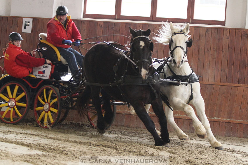 Zimní Jezdecký pohár spřežení 2016 - Brno