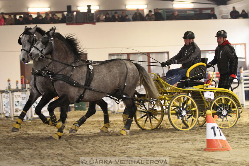 Zimní Jezdecký pohár spřežení 2016 - Brno