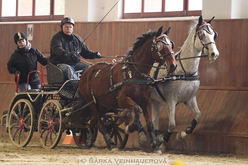 Zimní Jezdecký pohár spřežení 2016 - Brno