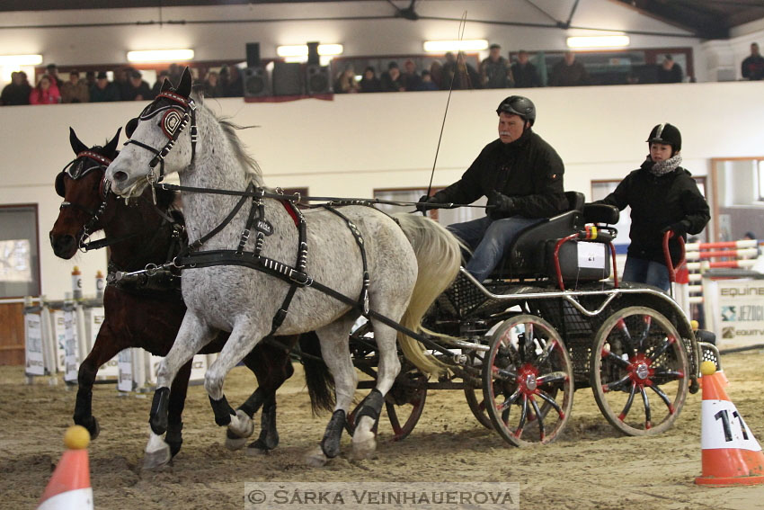 Zimní Jezdecký pohár spřežení 2016 - Brno